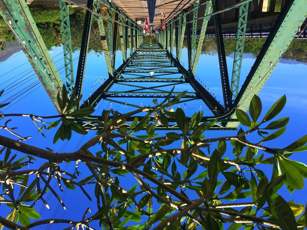 LOW ANGLE VIEW OF BRIDGE AGAINST PLANTS