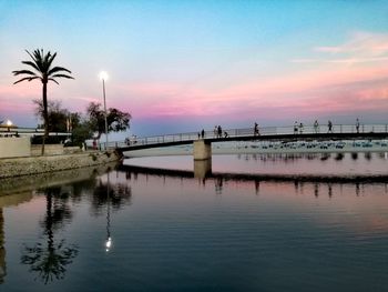 Scenic view of palm trees against sky during sunset