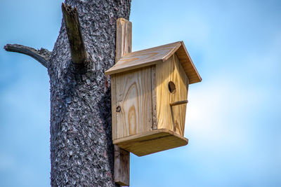 Low angle view of birdhouse on tree against sky