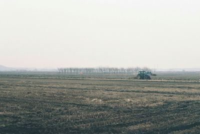 Scenic view of rural landscape
