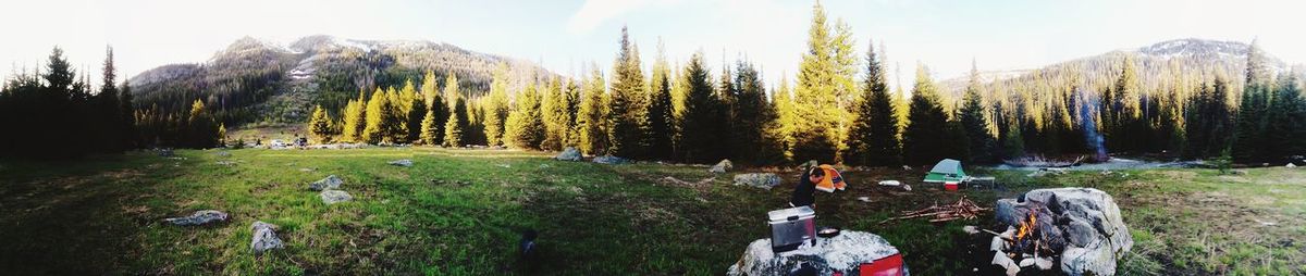 Panoramic shot of trees on land against sky