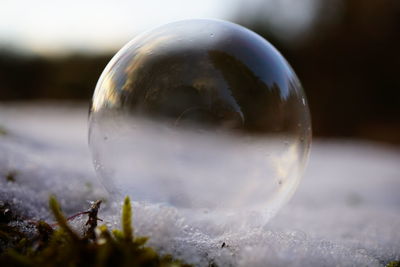 Close-up of crystal ball in water