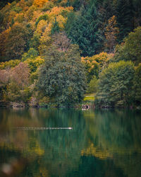 Scenic view of lake in forest during autumn