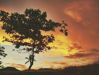 Low angle view of silhouette tree against sky at sunset