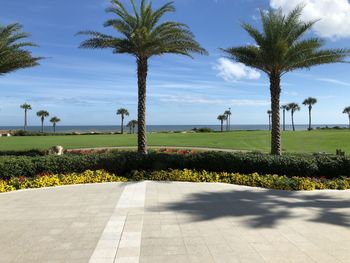 Palm trees on landscape against sky