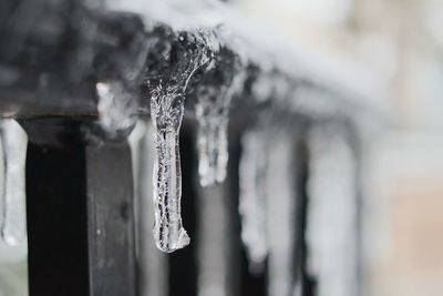 Close-up of icicles hanging on fence