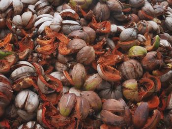 Full frame shot of coconut shells pile