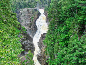 Scenic view of waterfall in forest