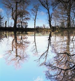Reflection of bare trees in lake against sky