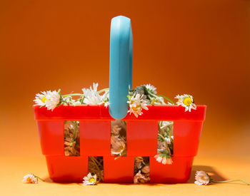 Close-up of flowers in basket against orange background