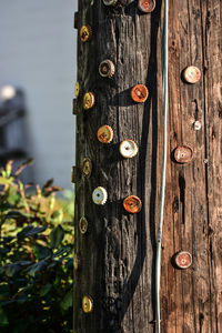 Vintage bottle caps nailed to telephone pole.