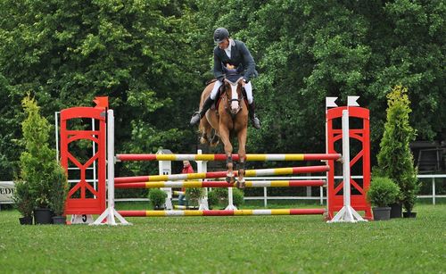 Jockey with horse jumping on hurdle