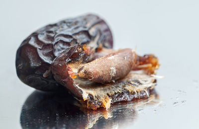 Close-up of food against white background