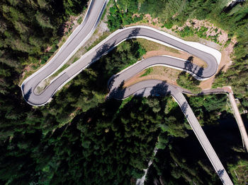 High angle view of road amidst trees