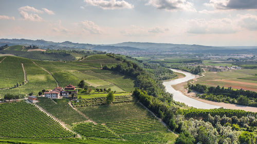 Scenic view of vineyard against sky