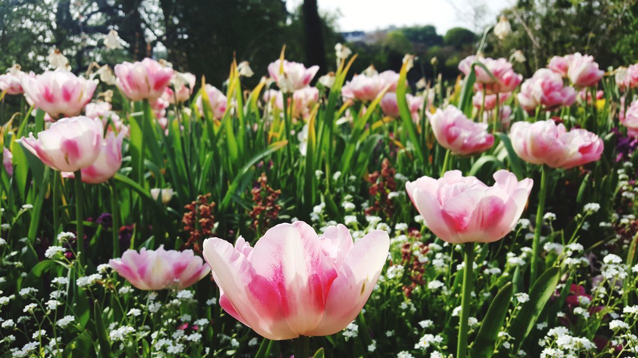 Buttes chaumont