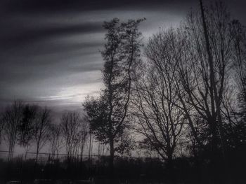 Bare trees on landscape at sunset