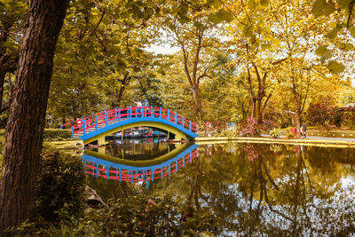 Reflection of trees in park during autumn