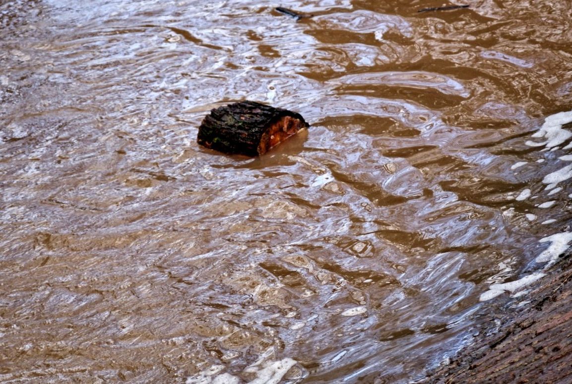 Floating log