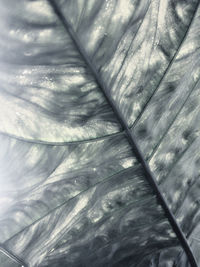 Full frame shot of white background