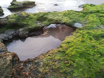 High angle view of rocks in sea