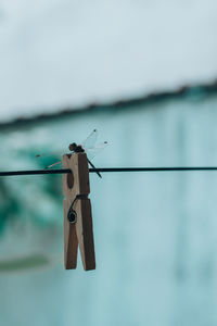 Close-up of clothespins hanging on rope against sky