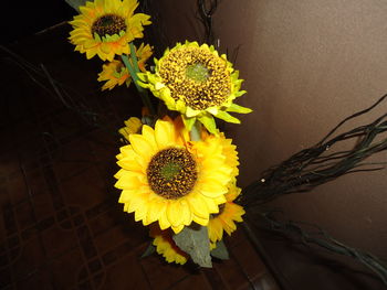 Close-up of sunflowers