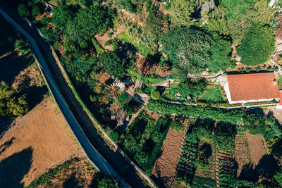 High angle view of cityscape