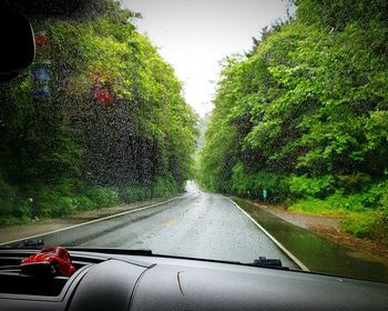 Road seen through wet glass