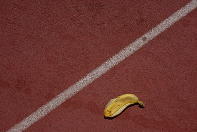 High angle view of banana peel on running track