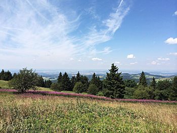 Scenic view of landscape against cloudy sky