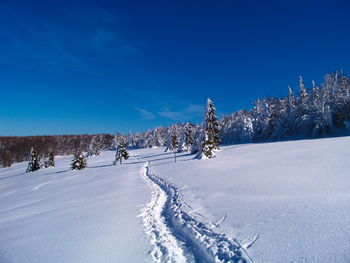 Scenic view of snow covered field against blue sky