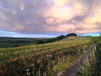 Scenic view of field against sky during sunset