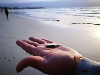 Close-up of man hand on beach