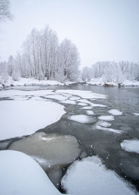 Frozen lake by trees against sky