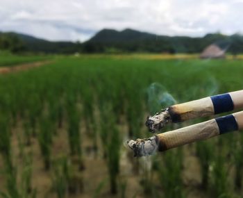 Man smoking cigarette on field