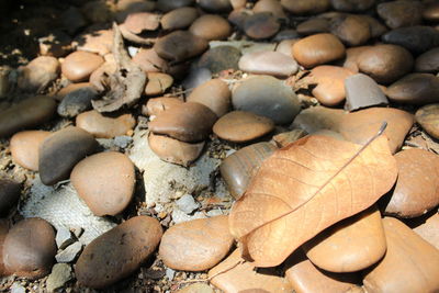 High angle view of stones on pebbles