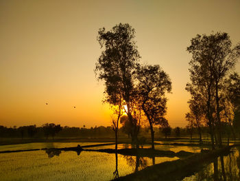 Silhouette trees on field against sky during sunset