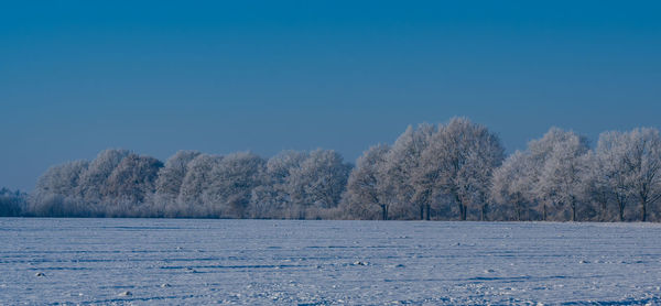 Scenic view of snow covered landscape against clear blue sky