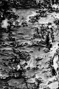 Full frame shot of rocks in water