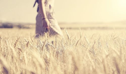 Midsection of woman walking on agricultural field