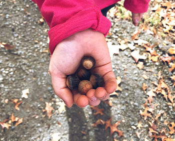 High angle view of hand holding food