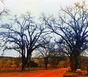 Road passing through field