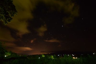 Low angle view of trees against sky at night