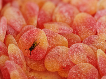 Full frame shot of strawberries