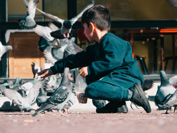 Boy feeding pigeons