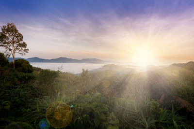 Scenic view of landscape against sky during sunset