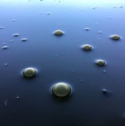 Close-up of water drops on pebbles