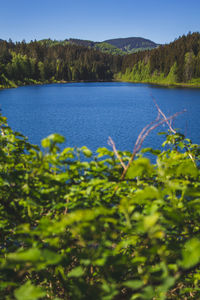 Scenic view of lake against clear blue sky