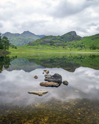 Blea tarn is located above great langdale on the pass to wrynose in the lake district, cumbria, uk.